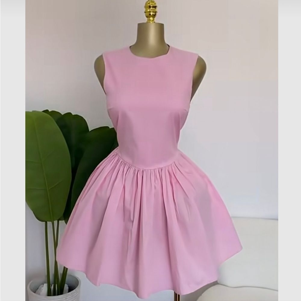 NWT ZARA SHORT gabardine corset voluminous pink dress